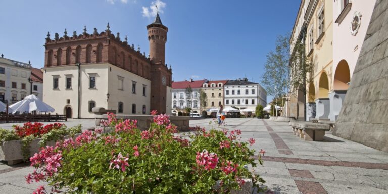 Tarnowskie Centrum Informacji