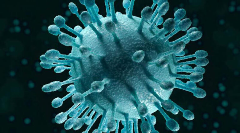 hcv