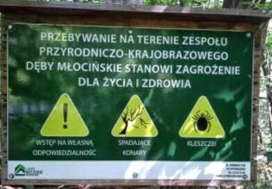 BORELIOZA – DIAGNOSTYKA