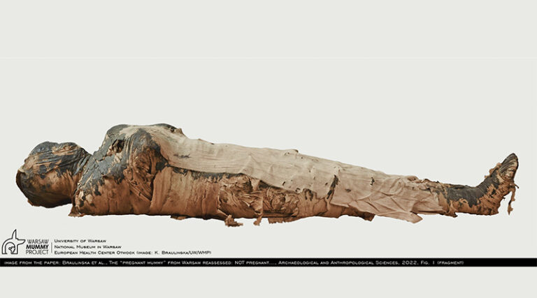 Mumia nie jest w ciąży